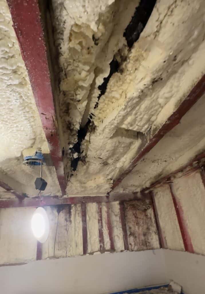 Unfilled gap in a wine cellar ceiling with black mold growing along it